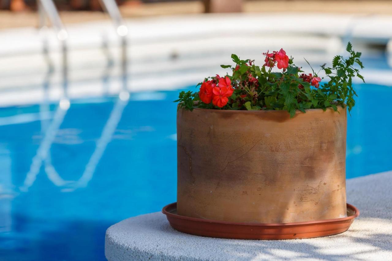 Casa Duende En Villa De Nijar Con Piscina חדר תמונה